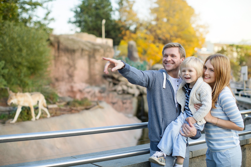 Explore the Famous Lincoln Park Zoo
