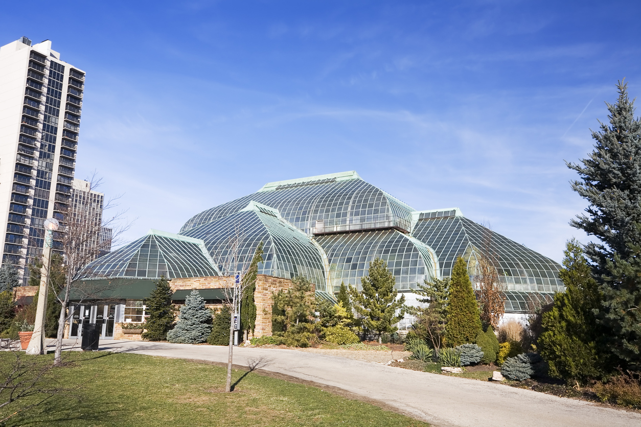 Explore the Stunning Gardens in These Chicago Conservatories