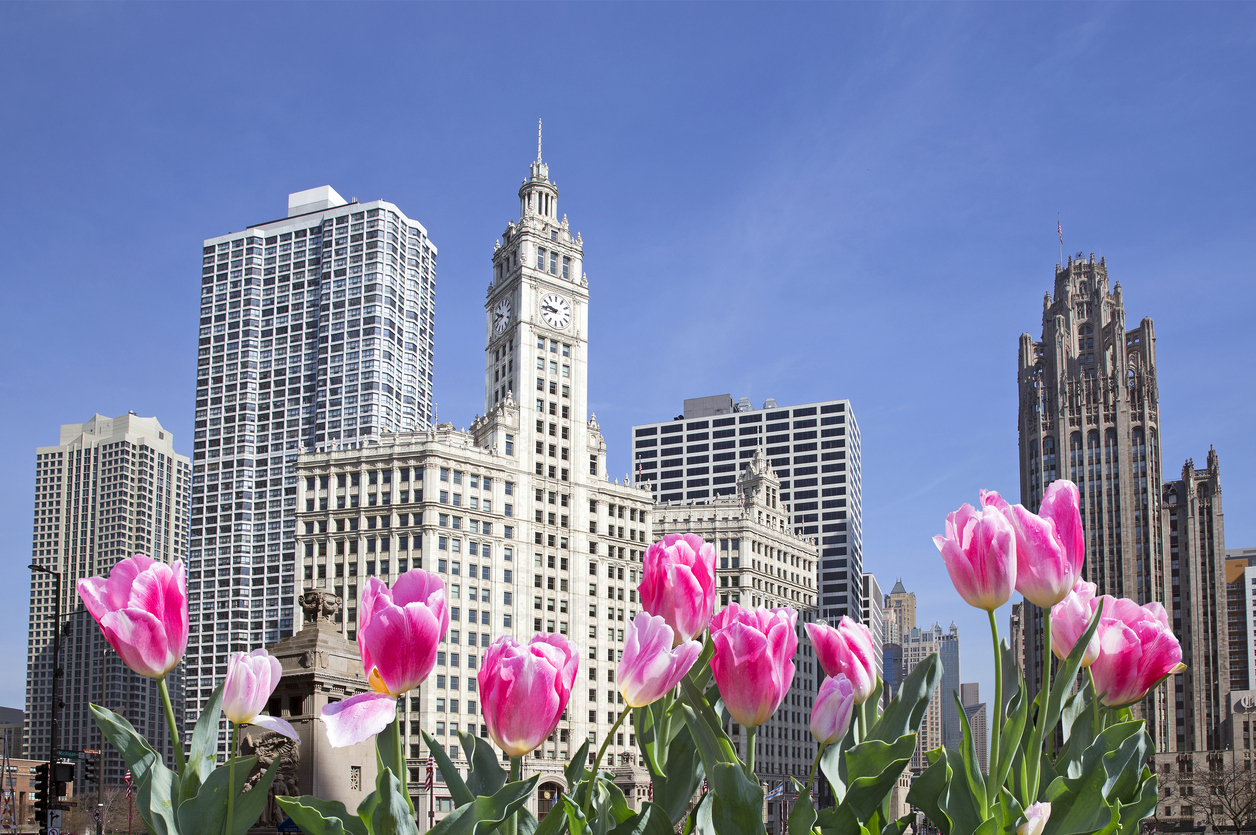 Celebrate the Season at These 3 Spring Events in Chicago