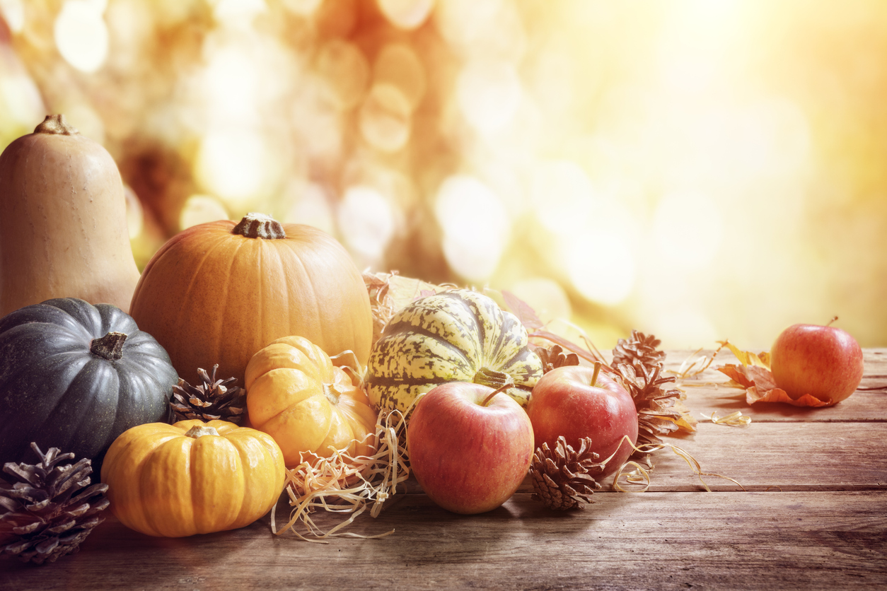 Enjoy Autumn at These Fall Festivals in Chicago